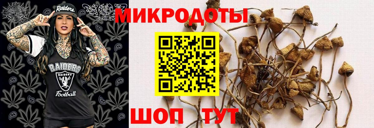 Псилоцибиновые грибы мухоморы  Вход с VPN  Великие Луки 