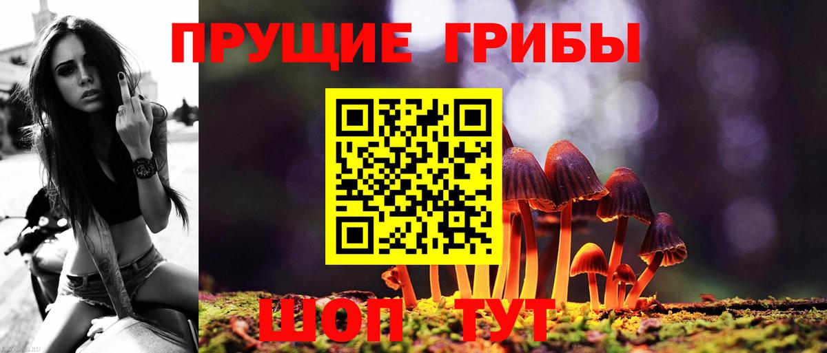 Псилоцибиновые грибы Magic Shrooms Великие Луки